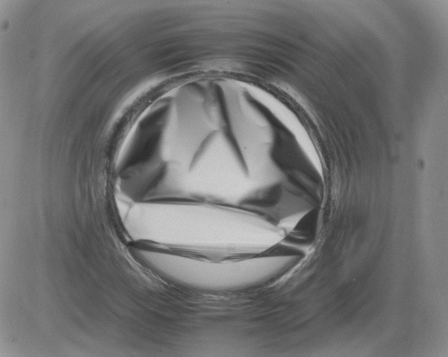 X0000082751115200702240031
