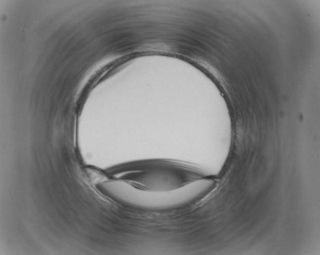 X0000082751123200702240031