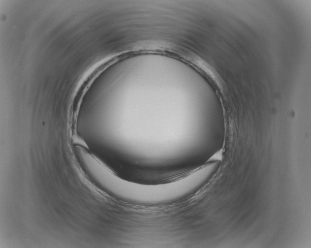 X0000082751124200702240031