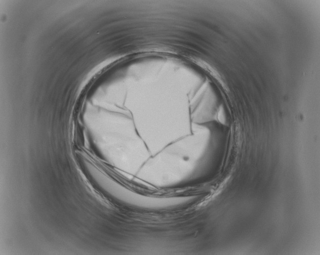 X0000082751125200702240031