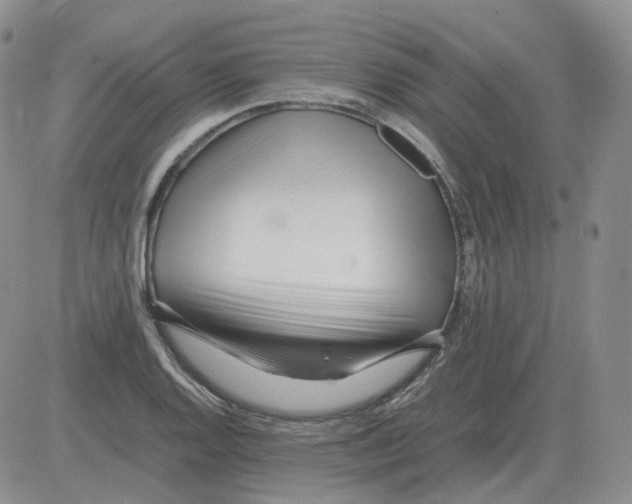 X0000082751128200702240032