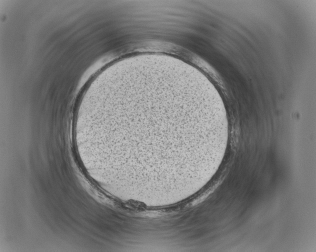 X0000082751130200702240032