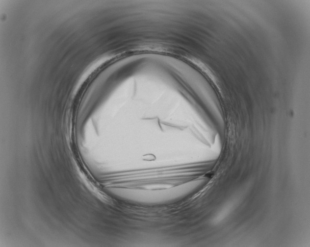 X0000082751131200702240032