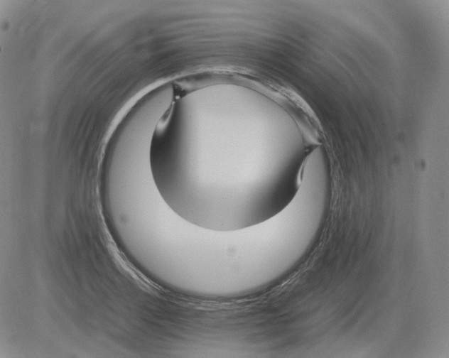 X0000082751132200702240032