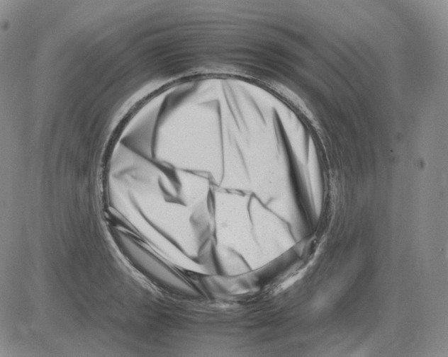 X0000082751133200702240032