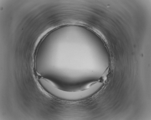 X0000082751136200702240032