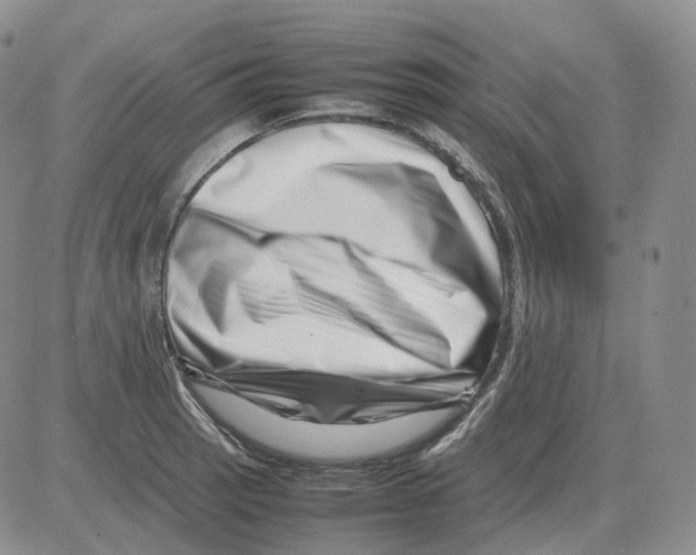 X0000082751137200702240032