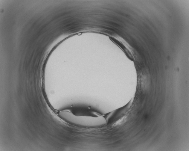 X0000082751143200702240032