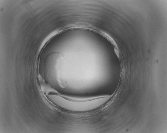 X0000082751146200702240032