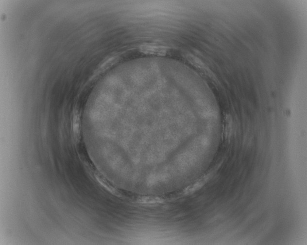 X0000082751154200702240031