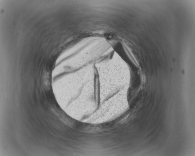 X0000082751156200702240031