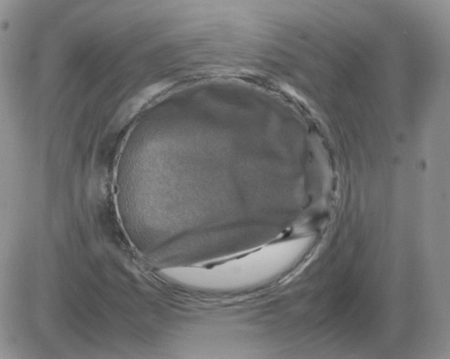 X0000082751161200702240031