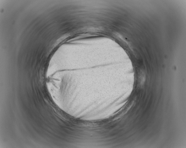 X0000082751170200702240031