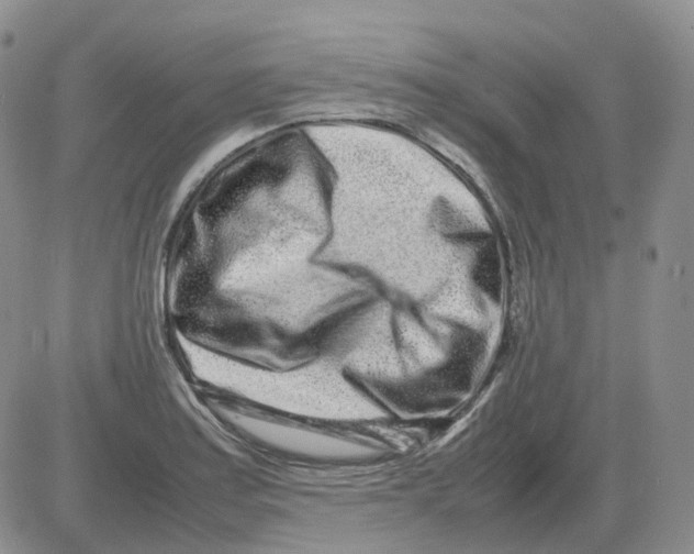 X0000082751179200702240031