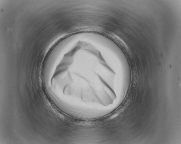 X0000082751182200702240031