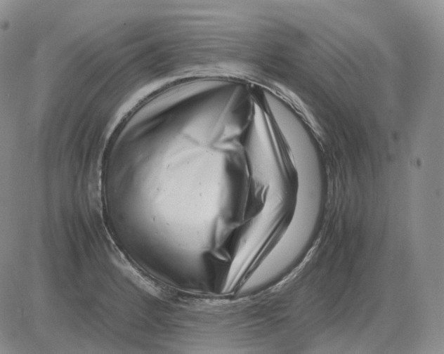 X0000082751184200702240031
