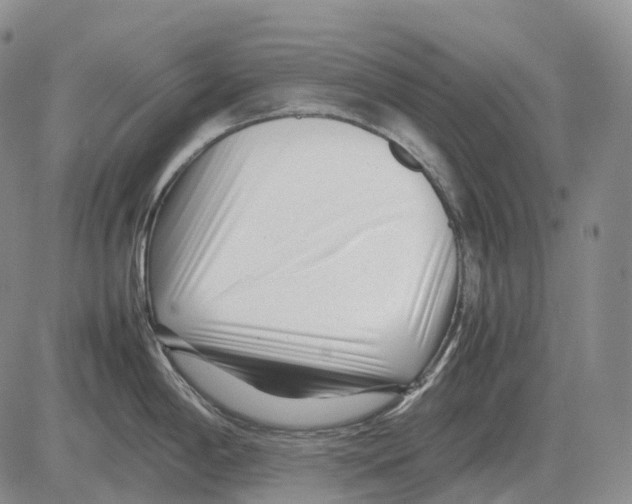 X0000082751198200702240030