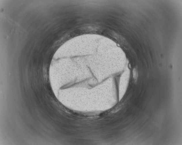 X0000082751203200702240030