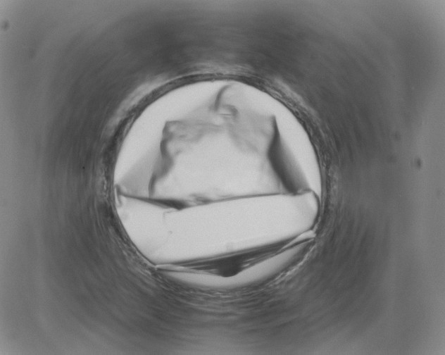 X0000082751215200702240030