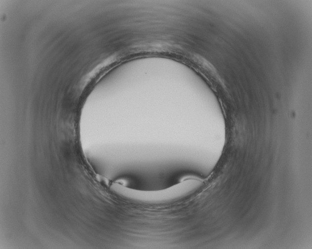 X0000082751218200702240030