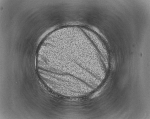 X0000082751221200702240030