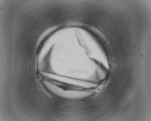 X0000082751223200702240030