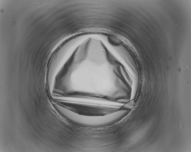 X0000082751228200702240030
