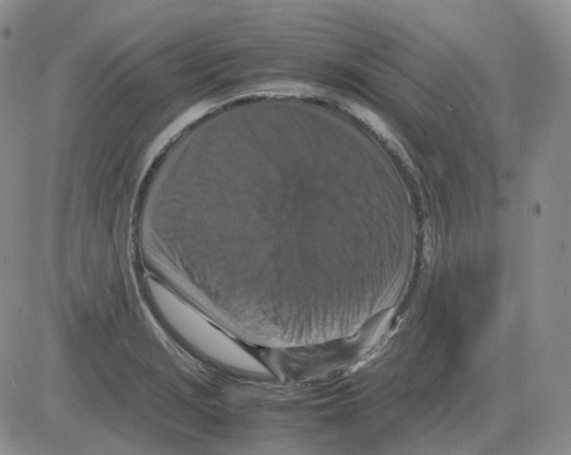 X0000082751229200702240030