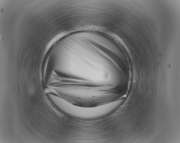 X0000082751230200702240030