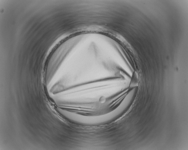X0000082751232200702240030
