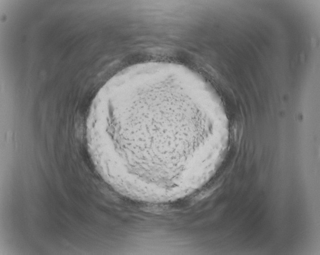X0000082751251200702240029