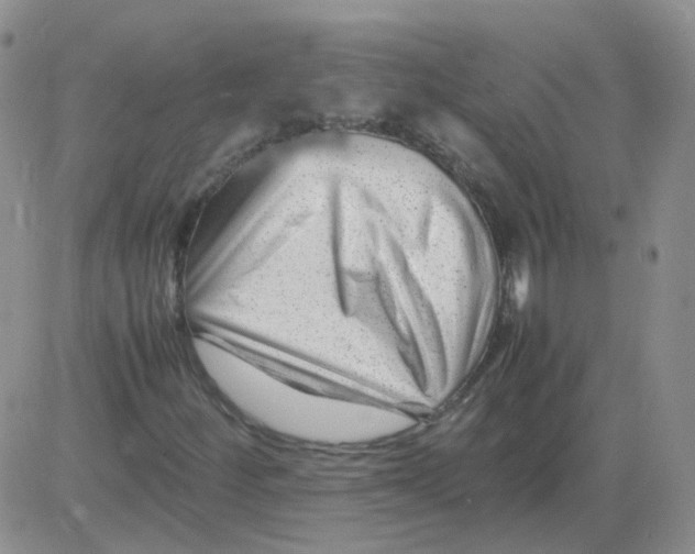 X0000082751252200702240029