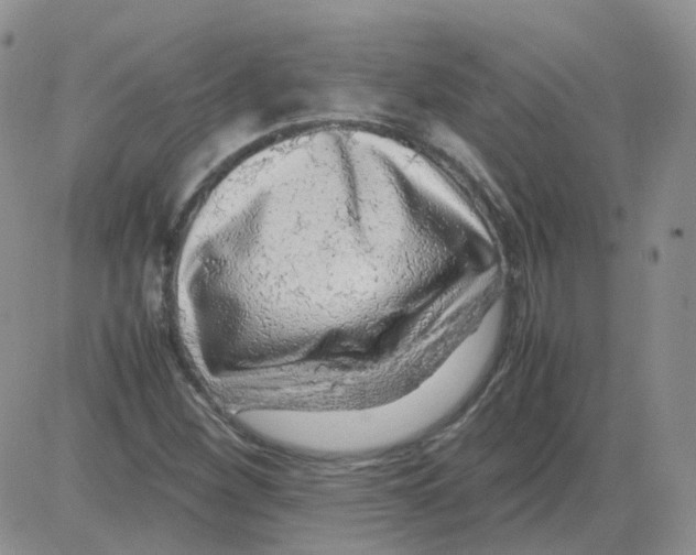 X0000082751260200702240029