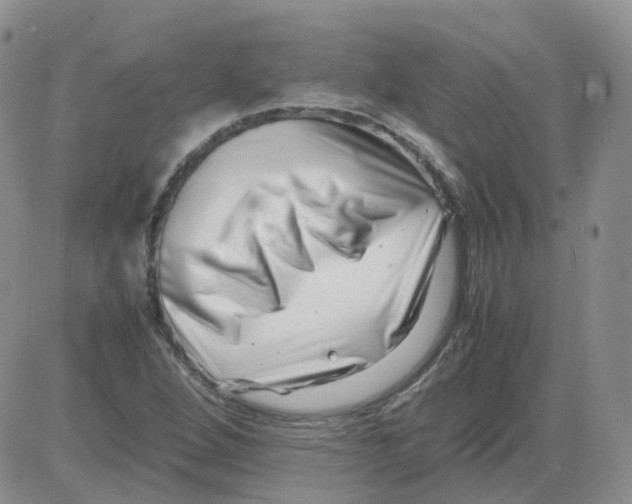 X0000082751264200702240029
