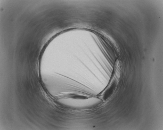 X0000082751272200702240029