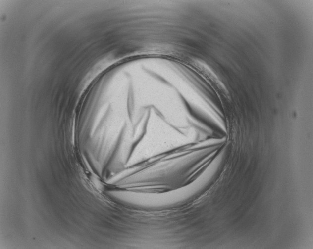 X0000082751276200702240029