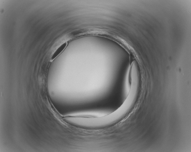 X0000082751281200702240029