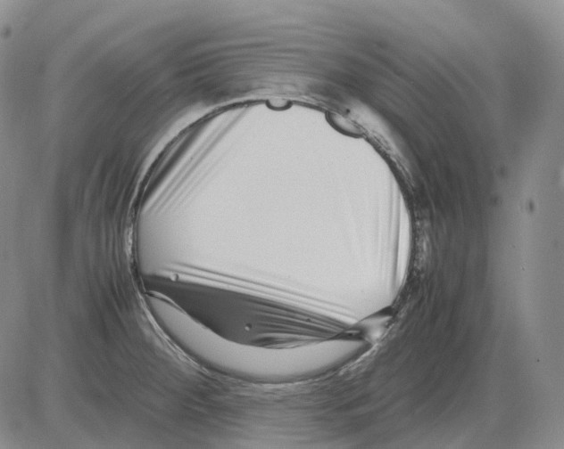 X0000082751284200702240029