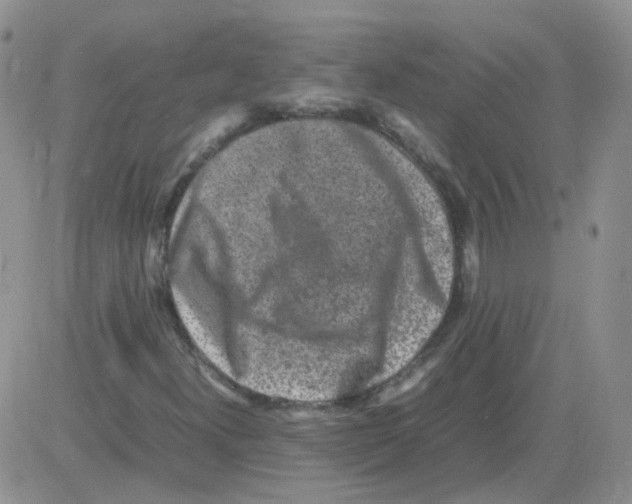 X0000082751300200702240028