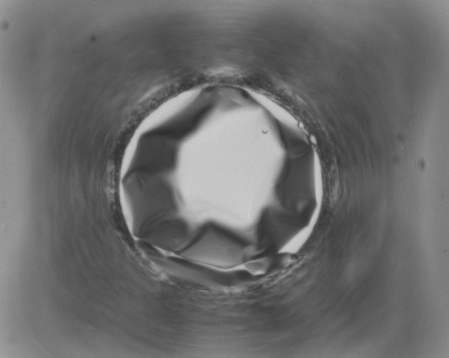 X0000082751301200702240028