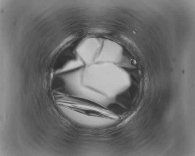 X0000082751305200702240028