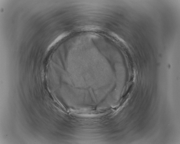 X0000082751306200702240028