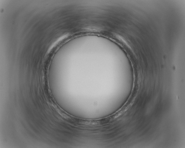 X0000082751307200702240028