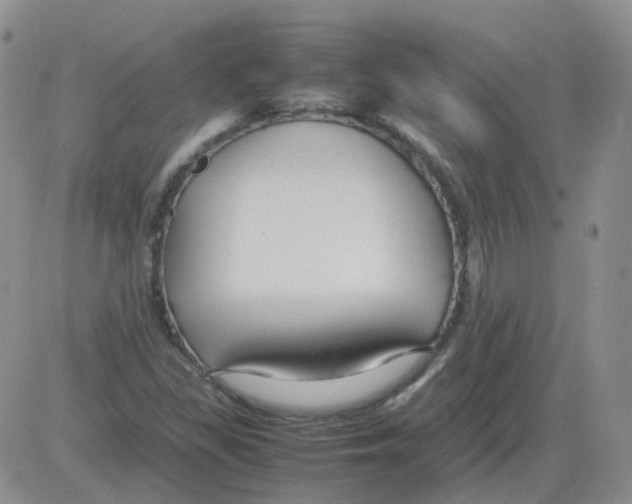 X0000082751309200702240028