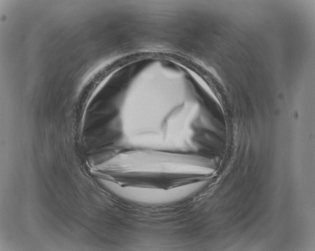 X0000082751311200702240028