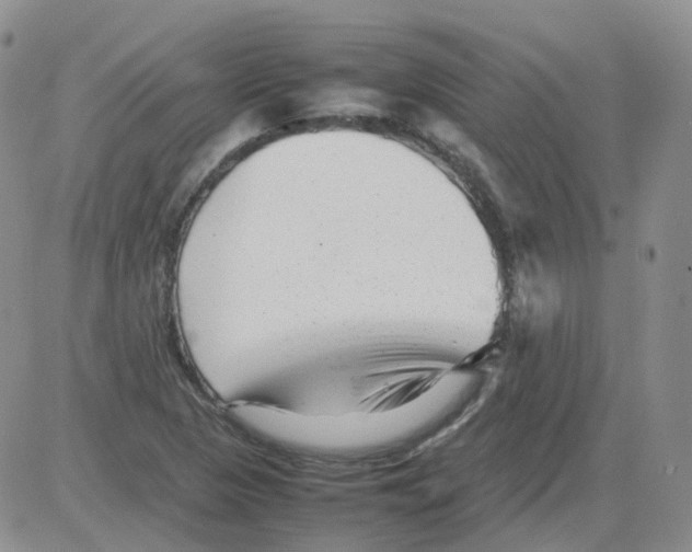 X0000082751313200702240028