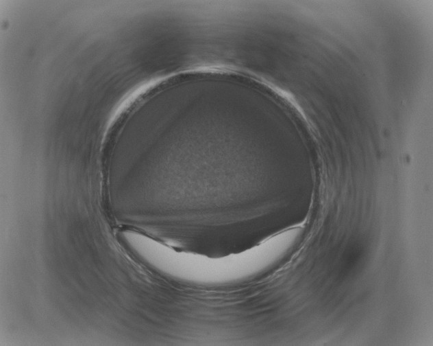 X0000082751319200702240028