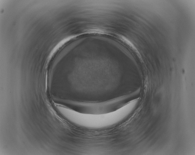 X0000082751323200702240028