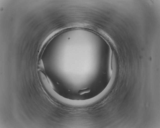 X0000082751324200702240028