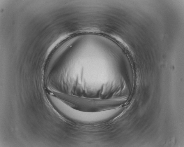 X0000082751325200702240028
